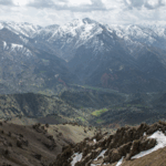 WT4YJQE2GD5N5M8YF1BB - 🌍NewspaperAmigo – Your Global News Buddy 🗞️ SCO Steps Up Climate Action 🌱 | Regional Green Projects Shine