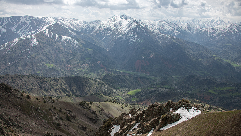 SCO Steps Up Climate Action 🌱 | Regional Green Projects Shine