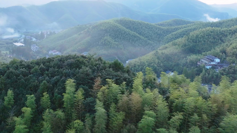 Escape to China’s ‘Hamptons’: Moganshan’s Hidden Getaway 🌿🏯 Escape to China’s ‘Hamptons’: Moganshan’s Hidden Getaway 🌿🏯 video poster