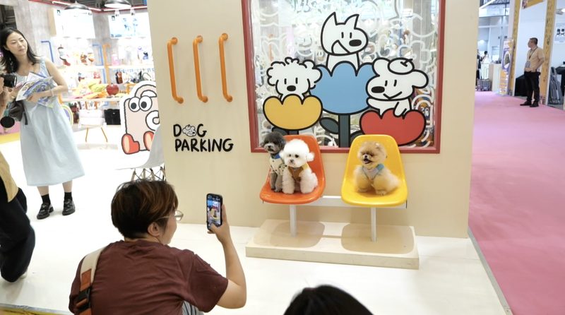 Shanghai Hosts Asia’s Biggest ‘Fluffy’ Pet Fair 🐾✨ Shanghai Hosts Asia’s Biggest ‘Fluffy’ Pet Fair 🐾✨ video poster