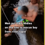 Heroic Human Chain Saves Boy from River Rapid 🌊👏 video poster