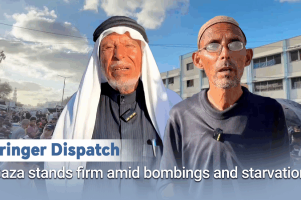 Gaza Residents Defy Odds Amid Escalating Conflict ๐๐ Gaza Residents Defy Odds Amid Escalating Conflict ๐๐ video poster