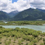 Yani_Wetland__Thriving_Oasis_on_the__Roof_of_the_World_ - 🌍NewspaperAmigo – Your Global News Buddy 🗞️ Yani_Wetland__Thriving_Oasis_on_the__Roof_of_the_World_
