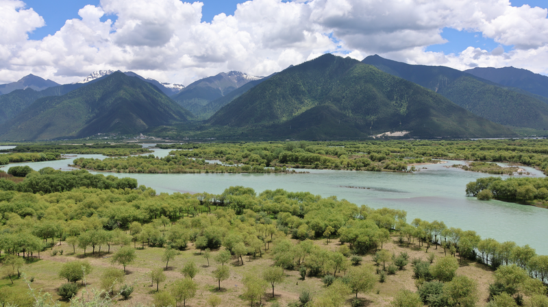 Yani_Wetland__Thriving_Oasis_on_the__Roof_of_the_World_