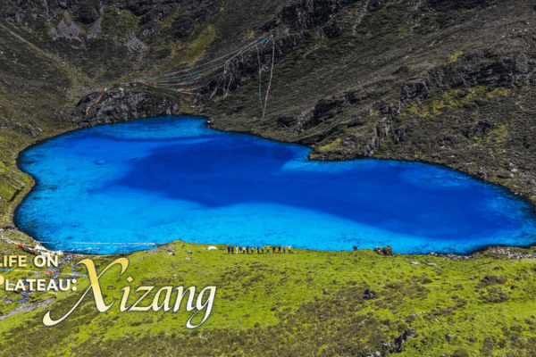 Xizang’s Gurula Co: From Hidden Gem to Viral Eco-Wonder 🌄💧 Xizang's Gurula Co: From Hidden Gem to Viral Eco-Wonder 🌄💧
