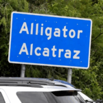 ZGOFJKNP1OYNALNDSJL1 - 🌍NewspaperAmigo – Your Global News Buddy 🗞️ Florida’s ‘Alligator Alcatraz’ Faces Shutdown After Court Ruling 🐊⚖️ video poster