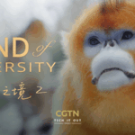 ZJPKL98CIAJKHK2NQRLV - 🌍NewspaperAmigo – Your Global News Buddy 🗞️ Qinling Mountains: Where Humans & Wildlife Thrive Together 🌿🐒 video poster