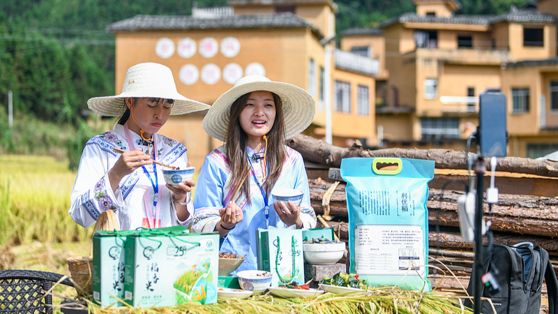 🌾 China’s Harvest Festival: More Than Just a Party? 🌾 China’s Harvest Festival: More Than Just a Party?