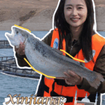 0LXUME92E1EJWZPIGB9K - 🌍NewspaperAmigo – Your Global News Buddy 🗞️ China’s Mountain Salmon: High-Tech Farming Meets Sustainability 🐟🏔️ video poster