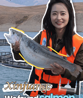 China’s Mountain Salmon: High-Tech Farming Meets Sustainability 🐟🏔️ China’s Mountain Salmon: High-Tech Farming Meets Sustainability 🐟🏔️ video poster