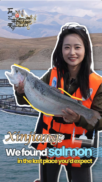 0LXUME92E1EJWZPIGB9K - 🌍NewspaperAmigo – Your Global News Buddy 🗞️ China’s Mountain Salmon: High-Tech Farming Meets Sustainability 🐟🏔️ video poster