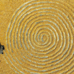0P6ERZ1IJE43WGYKHY5K - 🌍NewspaperAmigo – Your Global News Buddy 🗞️ Golden Waves of Corn Sweep Across China’s Autumn Fields 🌾🇨🇳