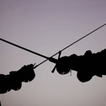 0TADEYFGBJCM8NC4OI0V - 🌍NewspaperAmigo – Your Global News Buddy 🗞️ Swords & Strategy: How Medieval Martial Arts Are Winning Hearts in China 🏰⚔️ video poster