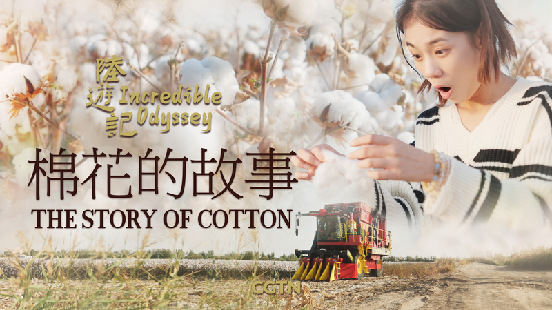 Xinjiang Cotton: Unraveling the Truth Behind the Threads 🌾✨ Xinjiang Cotton: Unraveling the Truth Behind the Threads 🌾✨ video poster