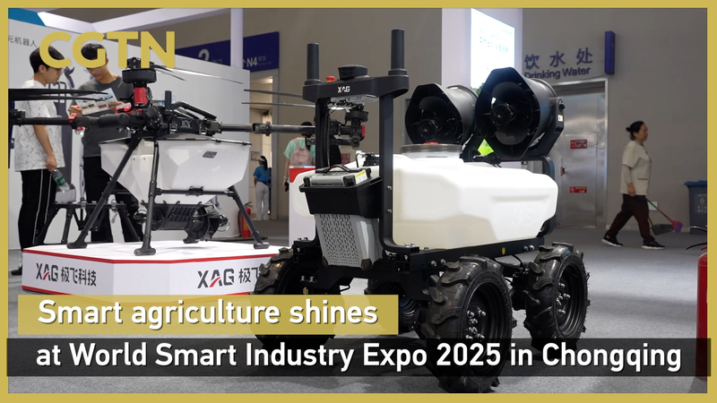 1ABDZRKZMIBCP0EVQZZS - 🌍NewspaperAmigo – Your Global News Buddy 🗞️ 🌱 AI Farming Takes Center Stage at Chongqing Expo 2025! video poster