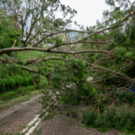 1NIEJIUJ4SO1FGAASH7H - 🌍NewspaperAmigo – Your Global News Buddy 🗞️ Typhoon Ragasa Batters South China 🌪️🇨🇳 video poster