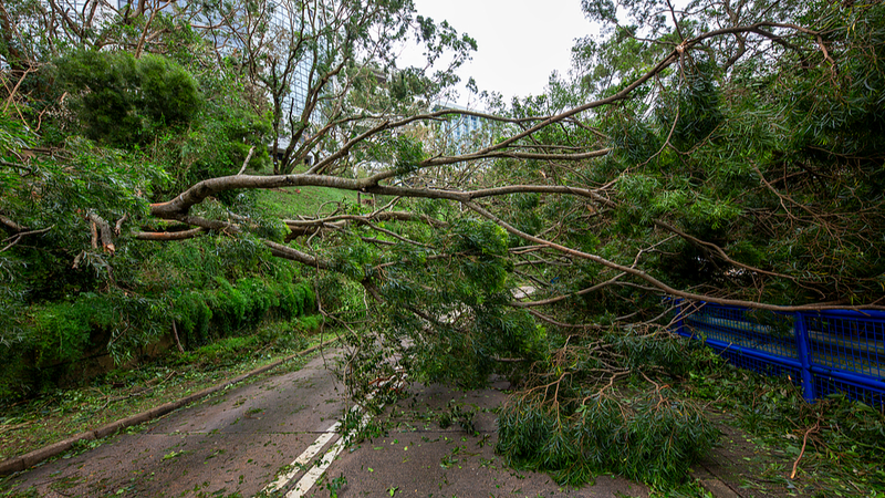 Typhoon Ragasa Batters South China 🌪️🇨🇳 video poster