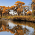 3VQV2CU21NBOG04MLF52 - 🌍NewspaperAmigo – Your Global News Buddy 🗞️ Golden Autumn Magic: Xinjiang’s Desert Poplars Paint a Masterpiece 🍂🏜️