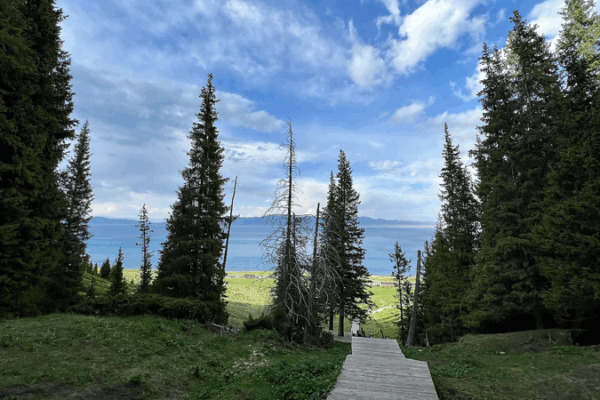 Misty Magic: Xinjiang’s Songshutou Offers Breathtaking Views 🌲🌊 Misty Magic: Xinjiang's Songshutou Offers Breathtaking Views 🌲🌊 video poster