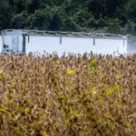 4HLEAVBTQ0W0BFAYNJTJ - 🌍NewspaperAmigo – Your Global News Buddy 🗞️ U.S. Soybean & Beef Exports Hit Hard by China Tariffs 🌾🚫🇨🇳