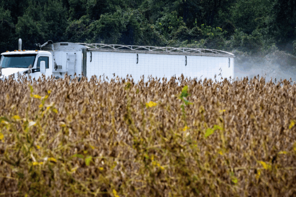 U.S. Soybean & Beef Exports Hit Hard by China Tariffs πΎπ«π¨π³ U.S. Soybean & Beef Exports Hit Hard by China Tariffs πΎπ«π¨π³