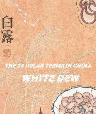 White Dew: Autumn’s Secret Season of Cool Mornings & Crisp Air 🌾🍂 White Dew: Autumn’s Secret Season of Cool Mornings & Crisp Air 🌾🍂 video poster