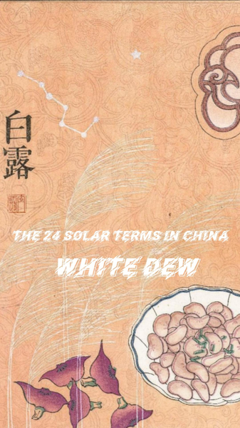 White Dew: Autumn’s Secret Season of Cool Mornings & Crisp Air 🌾🍂 video poster