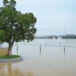 4TYG9YMTUA5WOMT30E77 - 🌍NewspaperAmigo – Your Global News Buddy 🗞️ China Pumps $132M into Flood Relief 🌊💸