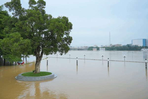 China Pumps $132M into Flood Relief ππΈ China Pumps $132M into Flood Relief ππΈ