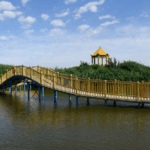 54OGLRET16EJI8RBYNJG - 🌍NewspaperAmigo – Your Global News Buddy 🗞️ Discover Bosten Lake’s Dahekou: Xinjiang’s Hidden Oasis 🌊✨ video poster