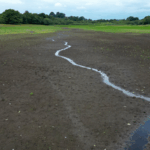 🌡️ Britain Braces for Hottest Summer Ever as Climate Crisis Heats Up
