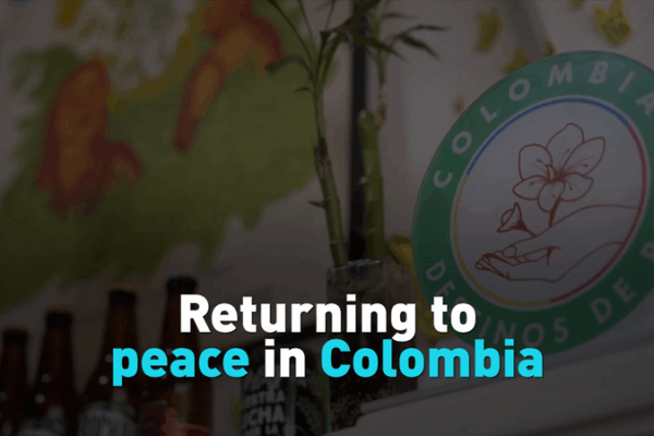 From Rebels to Brewers: Colombia’s Peace Journey Through Craft Beer 🍻✨ From Rebels to Brewers: Colombia’s Peace Journey Through Craft Beer 🍻✨ video poster