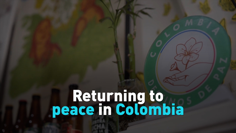 From Rebels to Brewers: Colombia’s Peace Journey Through Craft Beer 🍻✨ video poster