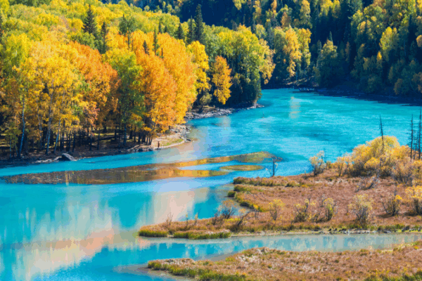 Xinjiang’s Autumn Magic: Golden Landscapes & Lake Mysteries 🍂👾 Xinjiang’s Autumn Magic: Golden Landscapes & Lake Mysteries 🍂👾