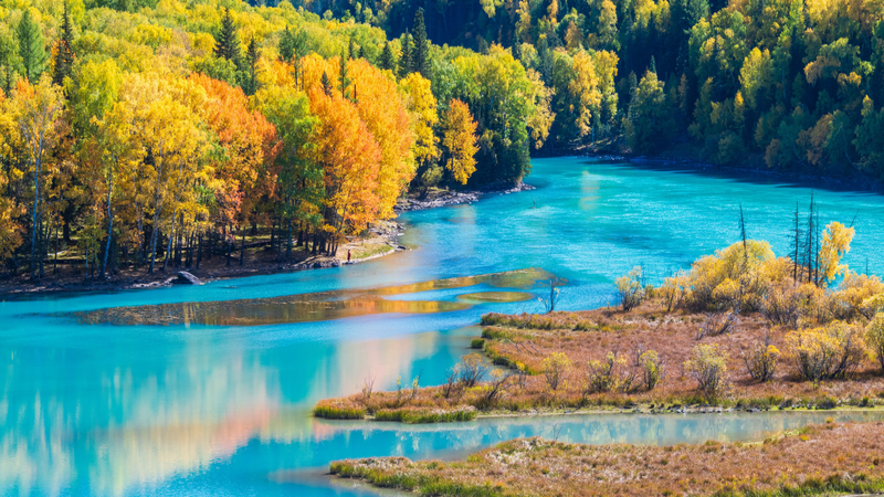 Xinjiang’s Autumn Magic: Golden Landscapes & Lake Mysteries 🍂👾