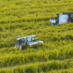 7W1FIWH26NW5Z6P7AT7G - 🌍NewspaperAmigo – Your Global News Buddy 🗞️ 🌱 AI & Robots Transform China’s Farms Into Tech Powerhouses!