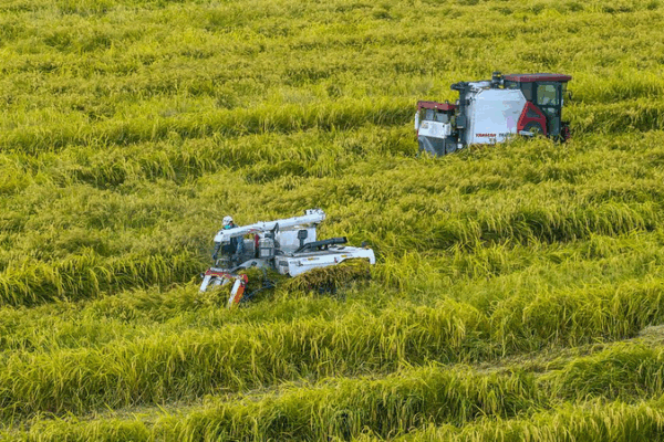 🌱 AI & Robots Transform China’s Farms Into Tech Powerhouses! 🌱 AI & Robots Transform China’s Farms Into Tech Powerhouses!
