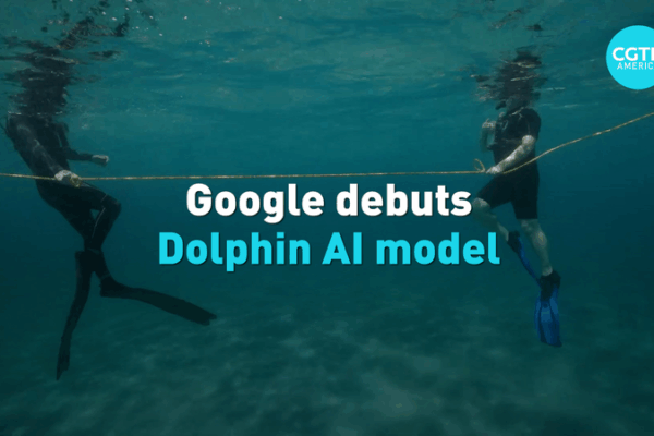 Google’s DolphinGemma AI Aims to Talk to Dolphins 🐬💬 Google’s DolphinGemma AI Aims to Talk to Dolphins 🐬💬 video poster