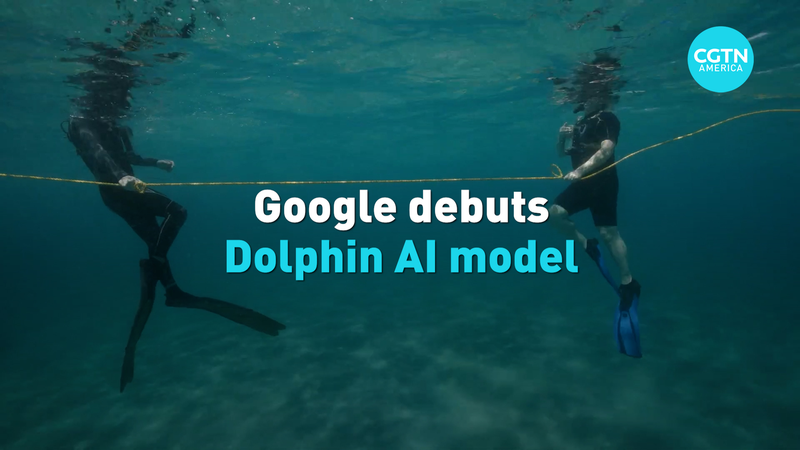 Google’s DolphinGemma AI Aims to Talk to Dolphins 🐬💬 video poster