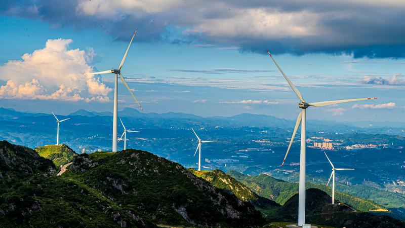 China Unveils Green & Digital Future at SCO Summit 🌱💻🌍