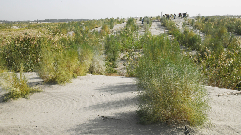 9K77WDBWBKS9HRTBA0A9 - 🌍NewspaperAmigo – Your Global News Buddy 🗞️ Xinjiang’s Green Wall: How China’s Desert Turned into an Oasis 🌱🏜️