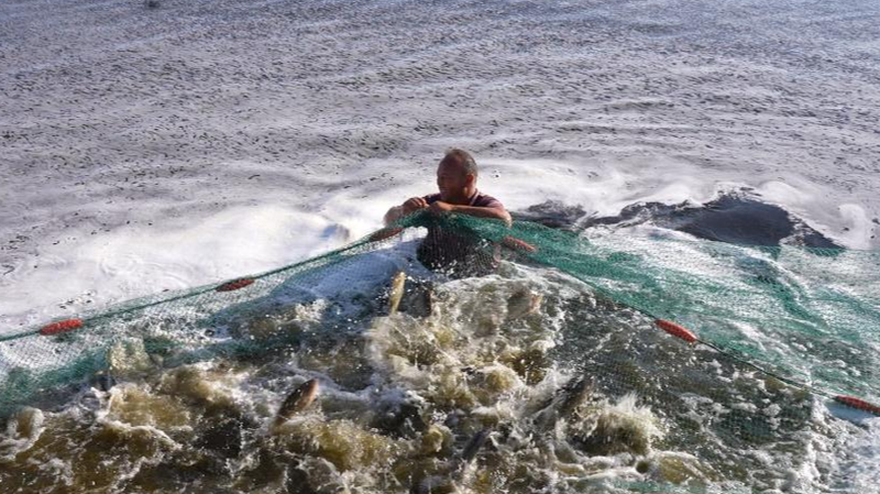 From Desert to Dinner Plates: Xinjiang’s Aquaculture Boom 🐟🌊