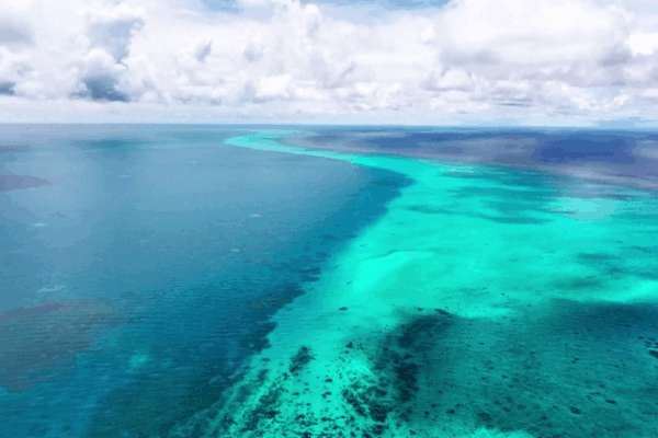 China Launches New Marine Reserve in South China Sea 🌊🐠 China Launches New Marine Reserve in South China Sea 🌊🐠