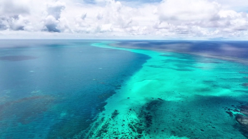 China Launches New Marine Reserve in South China Sea 🌊🐠
