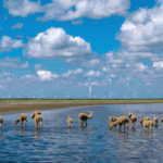 A8J7Y6JQBMRS6ASR2VDX - 🌍NewspaperAmigo – Your Global News Buddy 🗞️ China Goes Green: Major Eco Progress Report Reveals Cleaner Future 🌱🌏