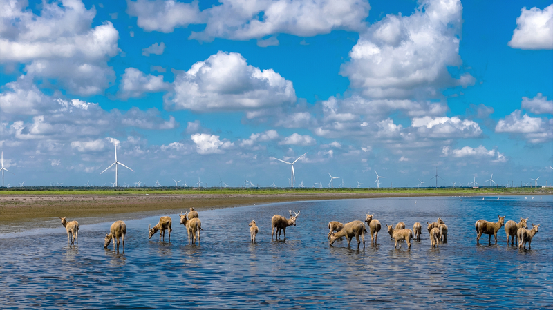 A8J7Y6JQBMRS6ASR2VDX - 🌍NewspaperAmigo – Your Global News Buddy 🗞️ China Goes Green: Major Eco Progress Report Reveals Cleaner Future 🌱🌏