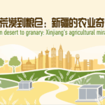AYLKGUKZAVQGQKRE1Q7Y - 🌍NewspaperAmigo – Your Global News Buddy 🗞️ From Desert to Breadbasket: Xinjiang's Cotton Boom 🌾✨ video poster