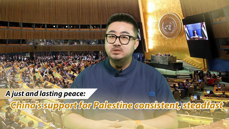 China Backs Palestine: A Steadfast Path to Peace 🌍✌️ video poster