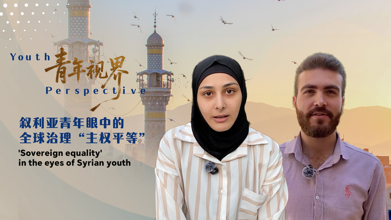 Syrian Youth Weigh In: What 'Sovereign Equality' Means for Global Peace 🌍✌️ video poster