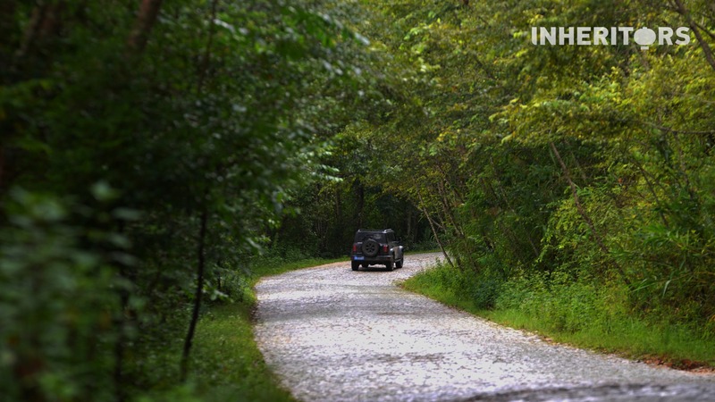 Jingmai Mountain’s Bumpy Road to UNESCO Fame 🍵🌿 Jingmai Mountain’s Bumpy Road to UNESCO Fame 🍵🌿